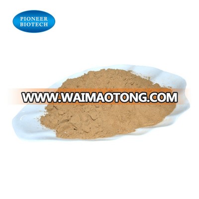 Factory Supply Natural Sex Enhancement Cistanche Tubulosa Extract